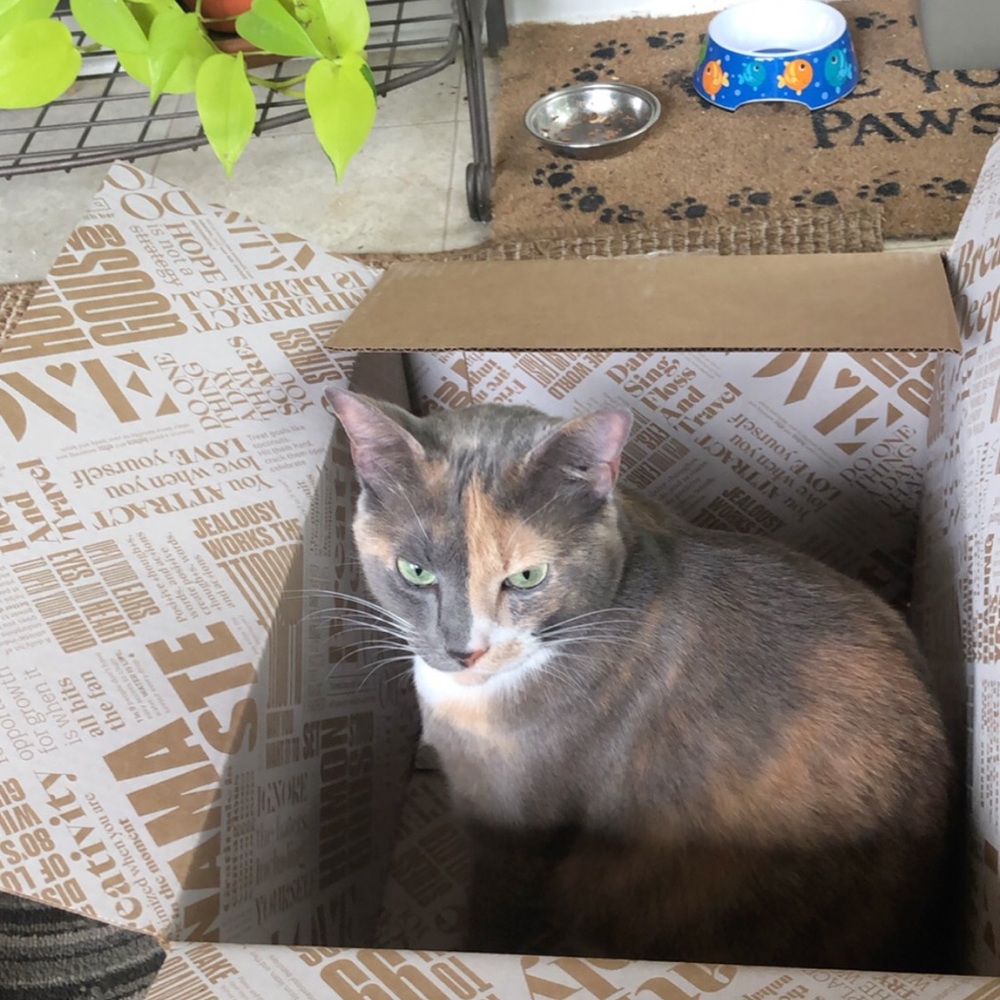 I fits I sits 🥰